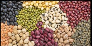  An array of different beans, showcasing their diverse shapes and colors, arranged neatly on a table