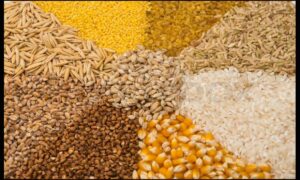 An assortment of grains and seeds, including rice, quinoa, and sunflower seeds, arranged in a colorful spread